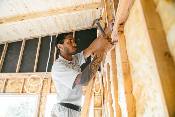 Best Insulation Contractors for Homes  in Waterloo, WI