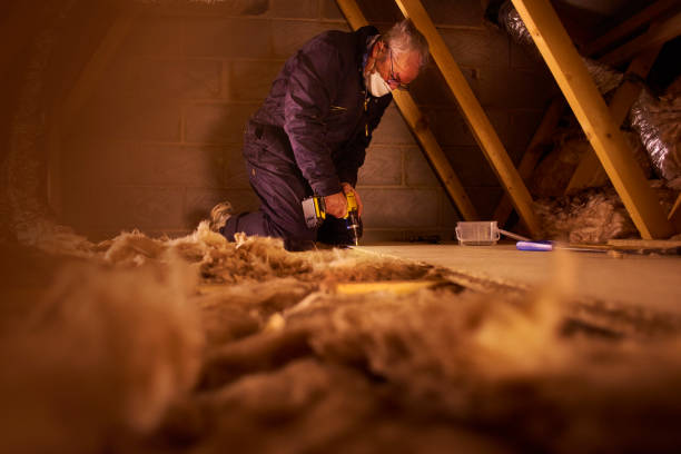 Insulation Repair Services in Waterloo, WI